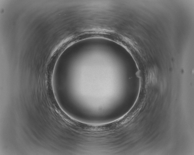 X0000085801307200703161139