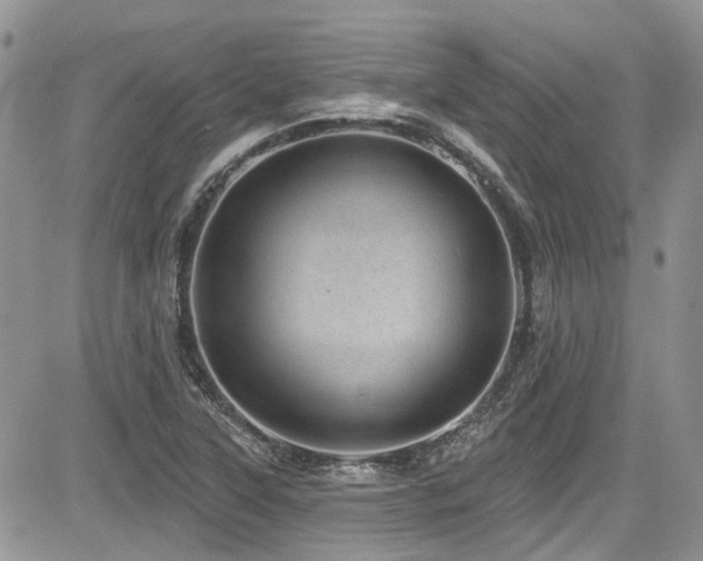 X0000085801315200703161140