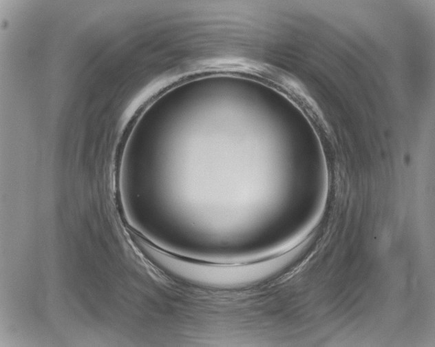 X0000085801328200703161140