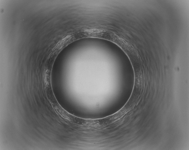 X0000085801346200703161139