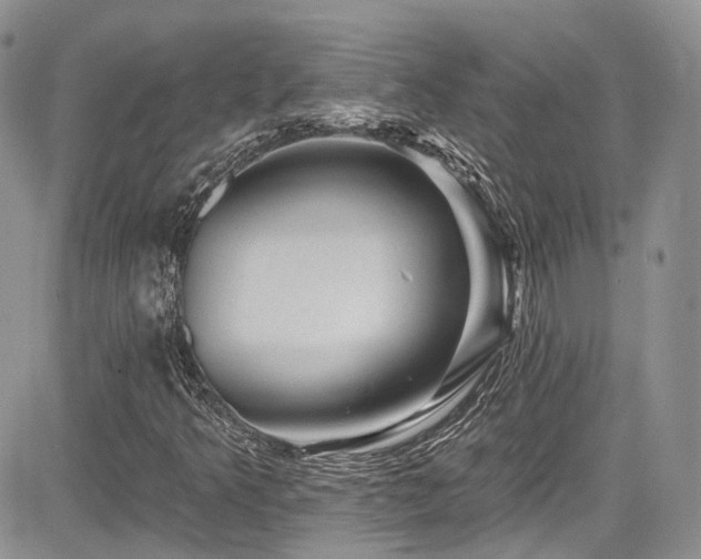 X0000085801349200703161139