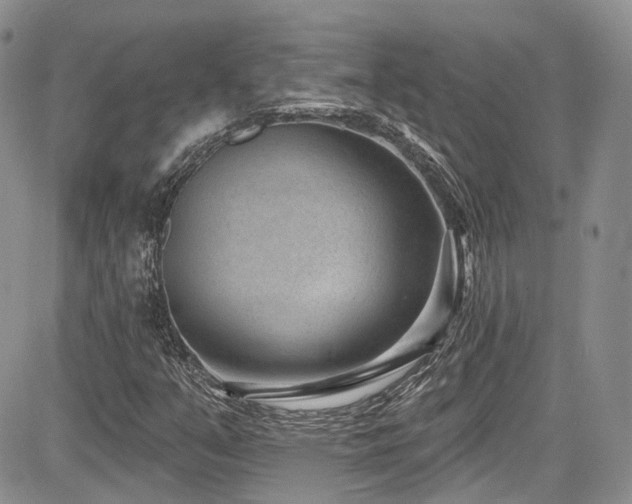 X0000085801351200703161139