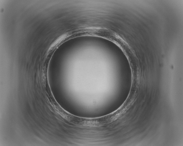 X0000085801354200703161139