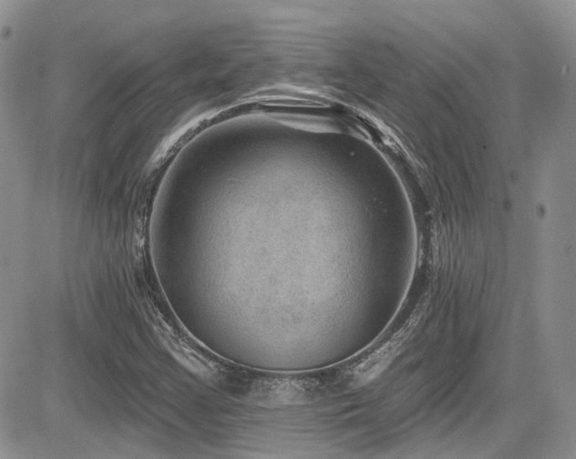 X0000085801355200703161139