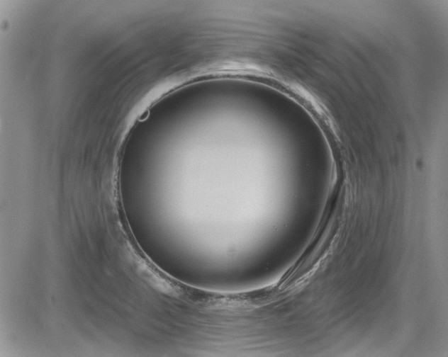 X0000085801374200703161139