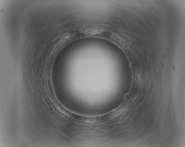 X0000085801393200703161138