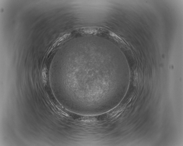 X0000085801394200703161138