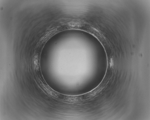 X0000085801396200703161138