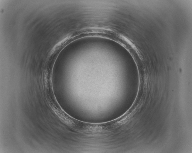 X0000085801403200703161138