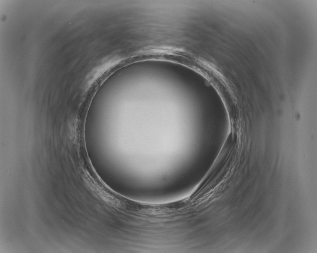X0000085801404200703161138