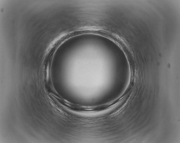 X0000085801406200703161138