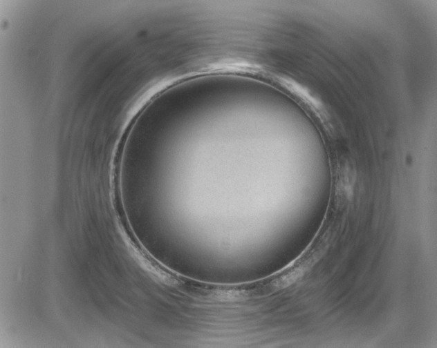 X0000085801423200703161138