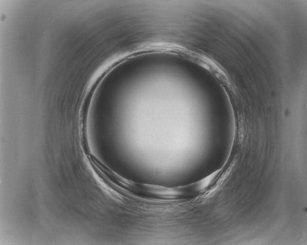 X0000085801430200703161138