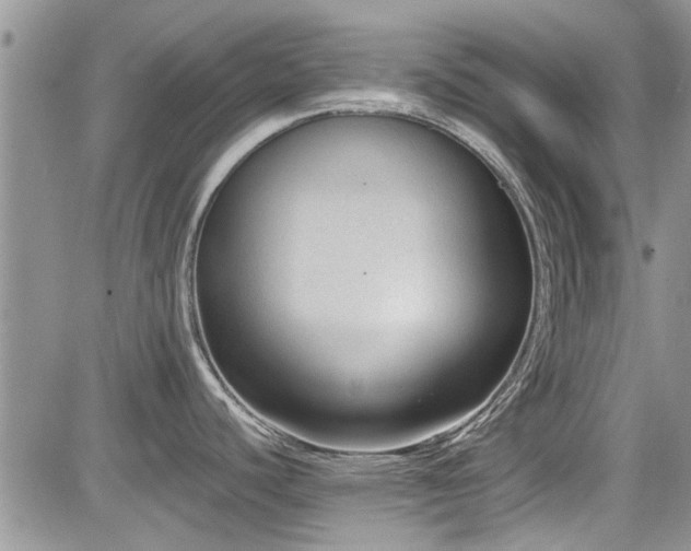 X0000085801440200703161138