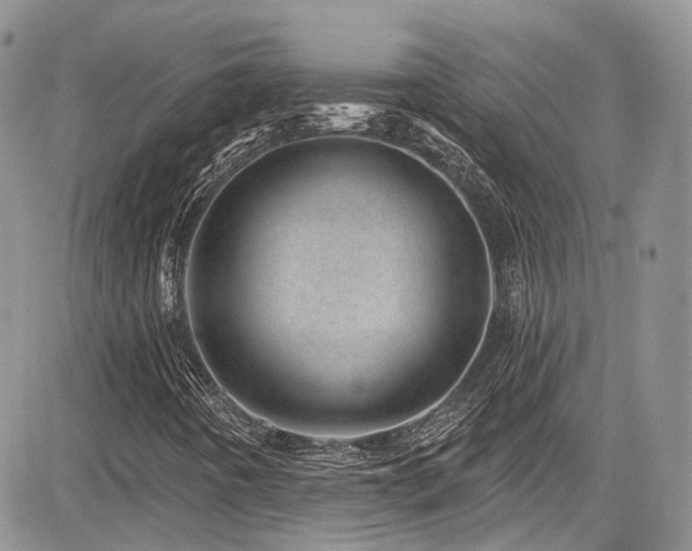 X0000085801442200703161138