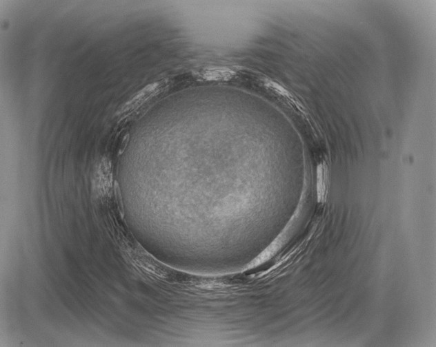 X0000085801443200703161138