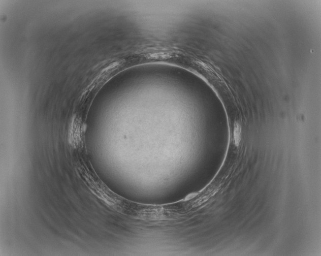 X0000085801444200703161138