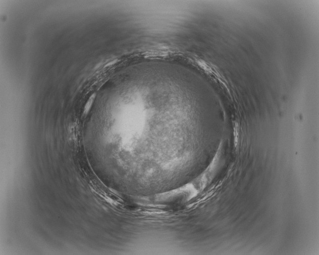 X0000085801445200703161138