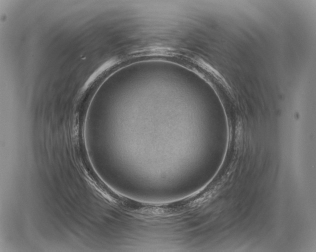 X0000085801450200703161137