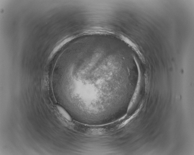 X0000085801453200703161137