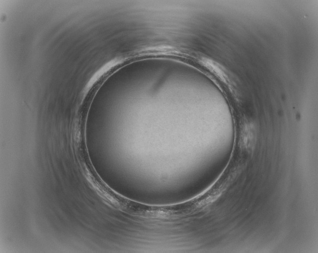 X0000085801458200703161137