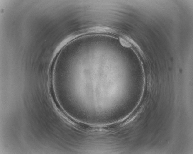 X0000085801467200703161137