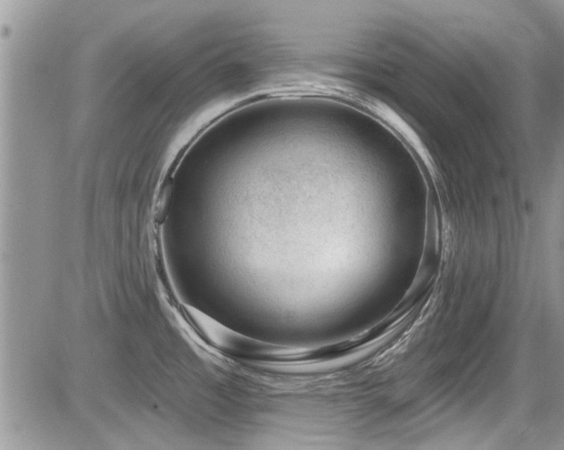 X0000085801485200703161137