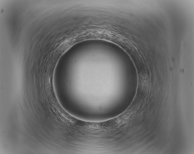 X0000085801489200703161136