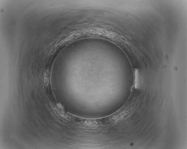 X0000085801491200703161136