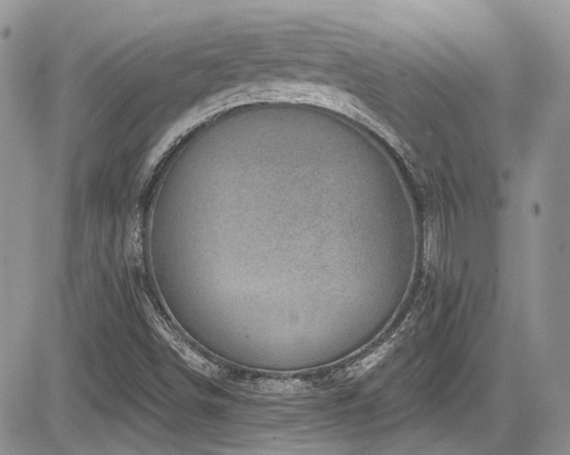 X0000085801498200703161136
