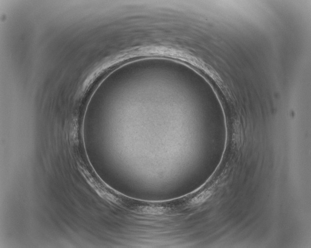 X0000085801499200703161136