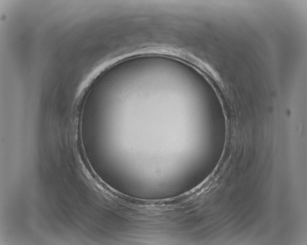 X0000085801504200703161136