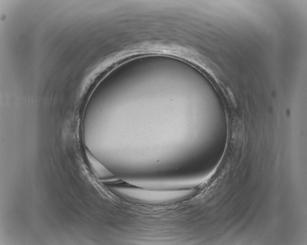 X0000085801507200703161136