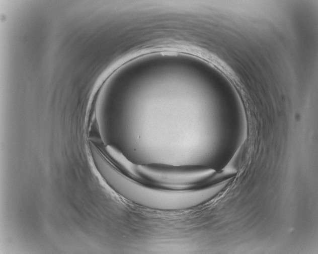 X0000085801536200703161137