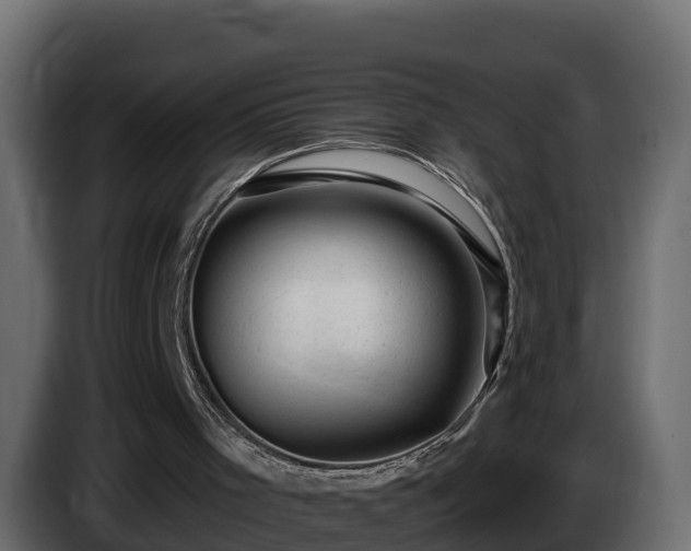 X0000085800001200703231341