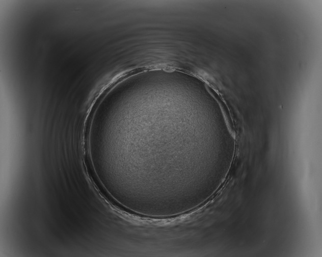 X0000085800002200703231341