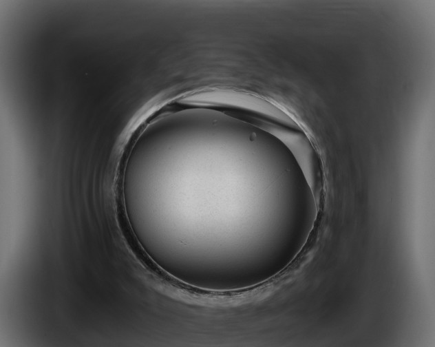 X0000085800007200703231341