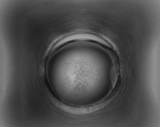 X0000085800015200703231340