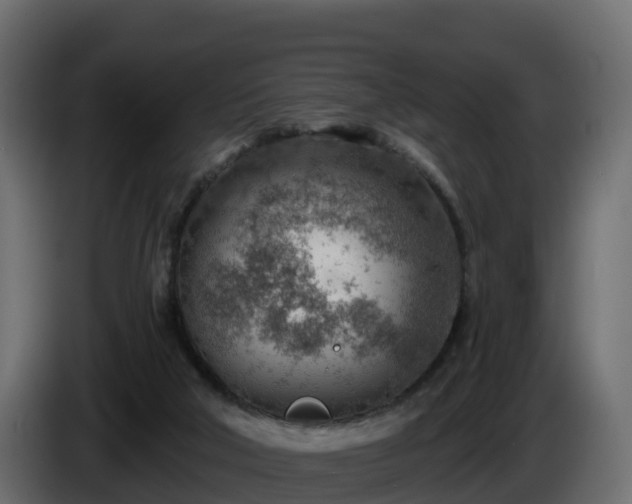 X0000085800018200703231340