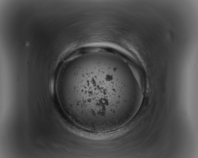 X0000085800019200703231340