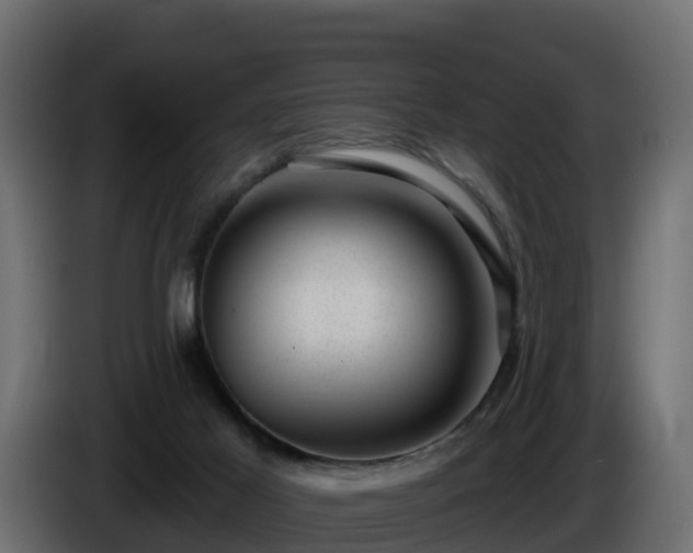 X0000085800021200703231340