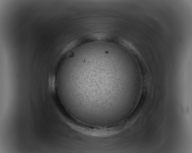 X0000085800024200703231340