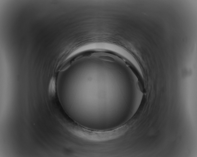 X0000085800027200703231340