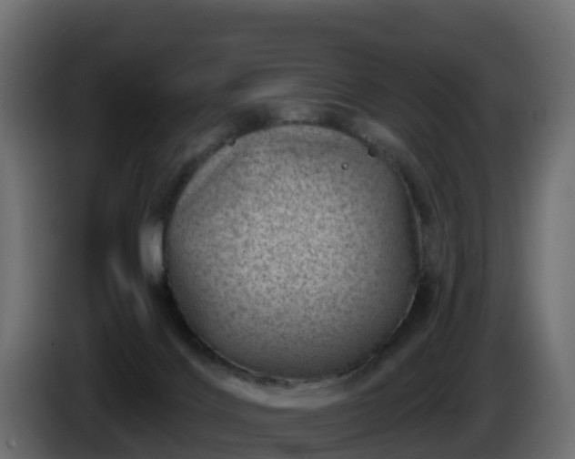 X0000085800028200703231340