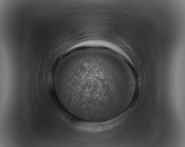 X0000085800029200703231340