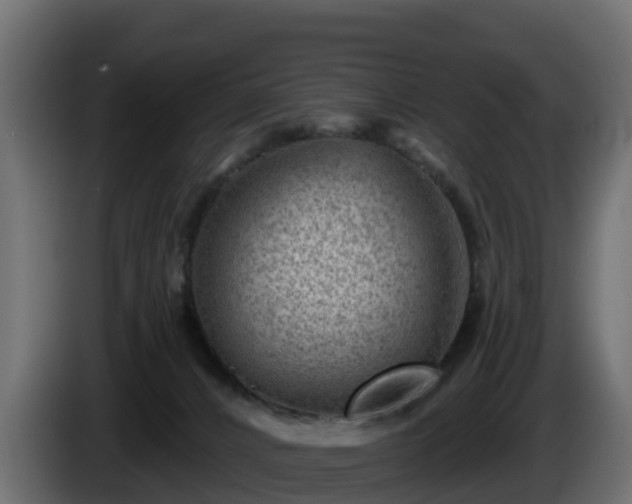 X0000085800032200703231340