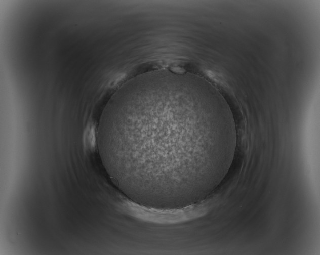 X0000085800042200703231340