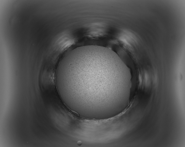 X0000085800045200703231340