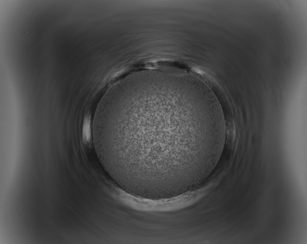 X0000085800046200703231340