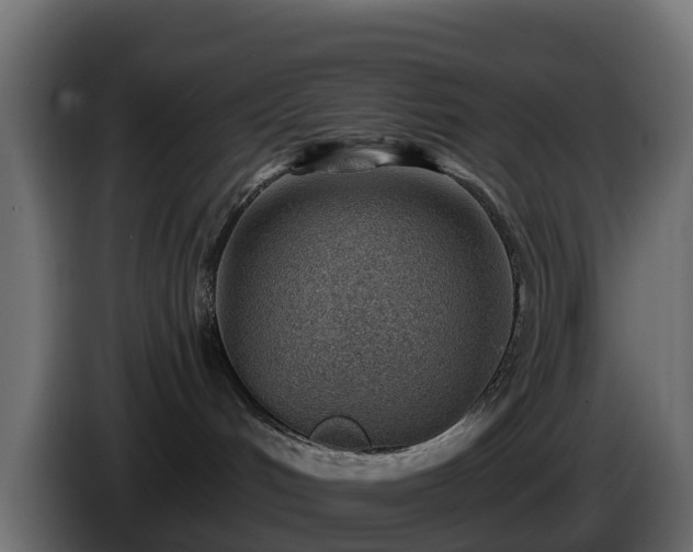 X0000085800048200703231340